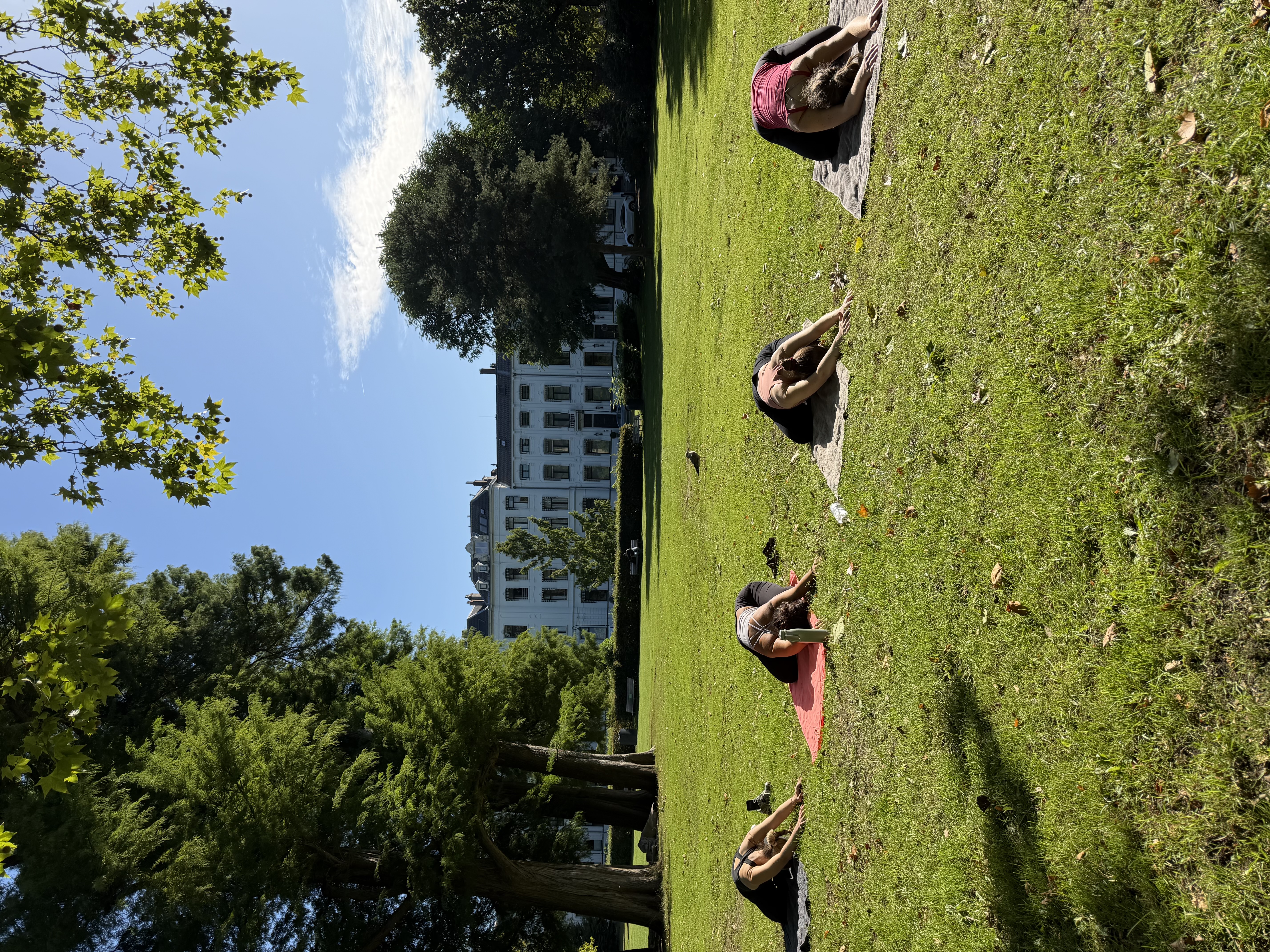 Outdoor yoga mat in a peaceful Haarlem park