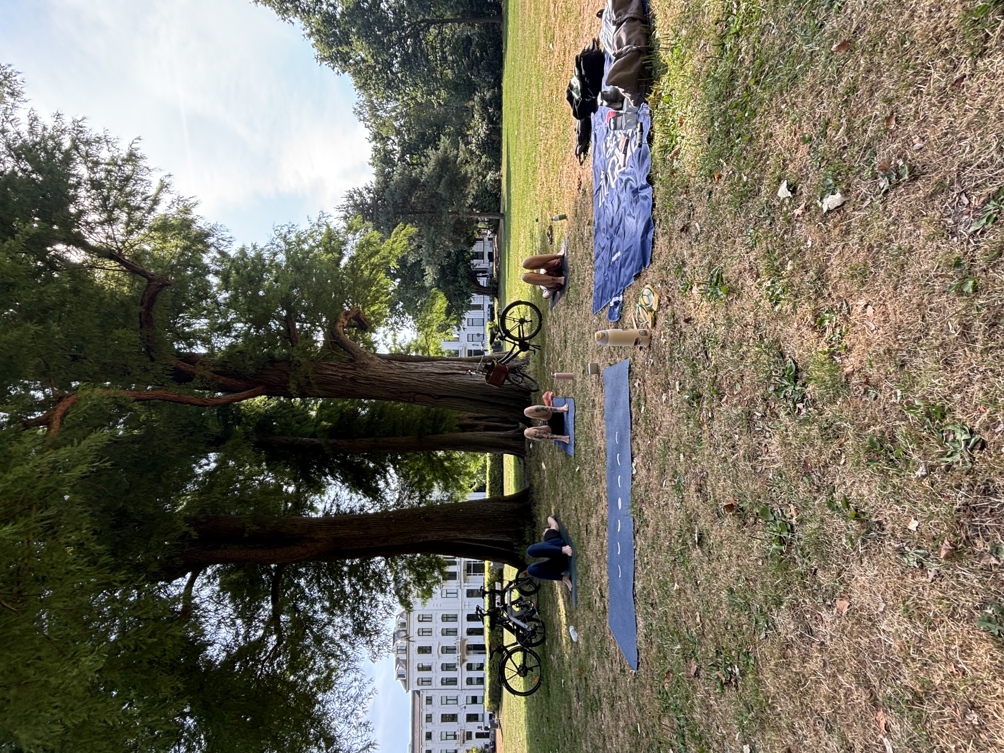 Sunday Park Yoga in Kenaupark